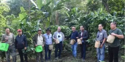 NEC Secretary pushes integrated coffee farming plan to lift Nagaland farmers' incomes