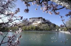 काठमांडू में नेपाल अंतर्राष्ट्रीय फिल्म महोत्सव में शीत्सांग पर आधारित छह फिल्में प्रदर्शित