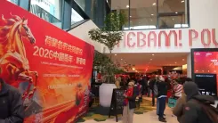 द हेग में 10,000 लोगों ने मनाया चीनी नववर्ष, सांस्कृतिक परेड और आतिशबाजी का आयोजन