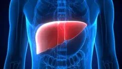 New blood test to predict risk of liver cirrhosis, cancer within 10 years