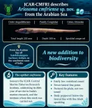 New conger eel species from Arabian Sea named after CMFRI