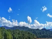 New Zealand greenhouse gas emissions fall 1.5 per cent in Q2