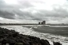 न्यूजीलैंड में चक्रवात वैयानु का संकट, पीएम लक्सन ने नागरिकों से सुरक्षा की अपील की