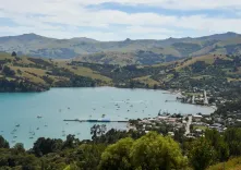 New Zealand education exports hit NZ$5 billion, surpassing 2019 pre-COVID peak