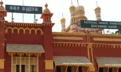 What Measures is NGT Taking for Water Safety in Tambaram?