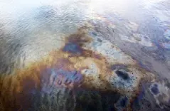 NIT Rourkela develops eco-friendly biofilm to mitigate impact of industrial oil spills, chemical waste
