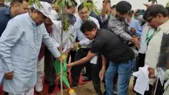 नितिन गडकरी ने किया 'एक पेड़ मां के नाम 2.0' अभियान का शुभारंभ, बोले- मां की ममता को हरियाली में बदलें 