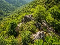 No mining, no dilution: Central govt throws full shield over Aravallis