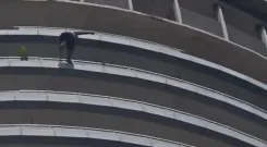 Noida: Man jumps to death from 43rd floor of Supernova tower