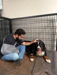 NTR Jr mourns pet Bagheera: 'Your absence leaves a silence'