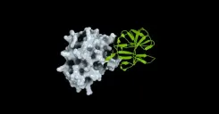 Nvidia highlights open protein dataset in reply to Google DeepMind
