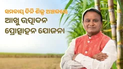 Odisha CM Launches Rs 15,000/Acre Sugarcane Input Subsidy Scheme