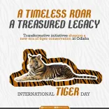 Odisha CM's Office Pledges Tiger Future on Global Conservation Day