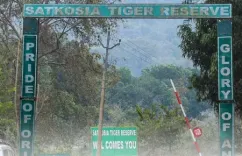 Odisha forms 5-member panel to probe Satkosia Tiger Reserve relocation