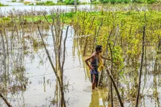 Odisha floods: 8.6 lakh affected, ₹110 crore relief disbursed across 22 districts