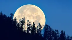Will the Wolf Supermoon Shine Brightly on Paush Purnima Today?
