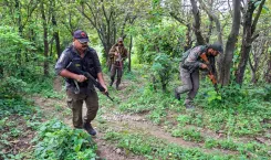 One terrorist killed in Budgam's Ashdar Gali in J&K operation
