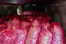 Kanda Express to deliver govt buffer onions to Kolkata ahead of Durga Puja