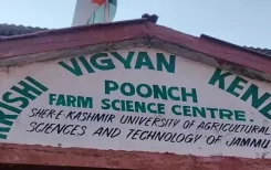 Is Organic Farming Gaining Traction in Poonch?