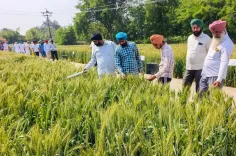 ₹2.9 crore in soil carbon payments reach 2,550 Punjab, Haryana farmers