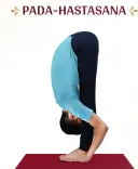 पादहस्तासन से बढ़ाएं लचीलापन और पाचन शक्ति, आयुष मंत्रालय ने बताए फायदे