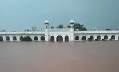 Pakistan: Flood management, not immediate fixes, required at Gurudwara Kartarpur Sahib 