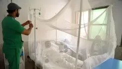 Pakistan: One more dengue death takes Sindh's official tally to 26