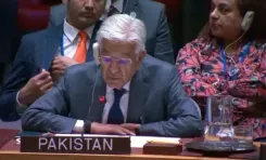 पाकिस्तान: यूएनएससी बैठक में रक्षा मंत्री के पीछे दिखीं 'कौन', जिन्हें लेकर छिड़ा सियासी संग्राम