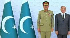 What Causes Pakistan's Ongoing Electricity Crisis?