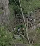 Chhatrapati Sambhajinagar: Family of three dies at Khavda Hill in suicide bid