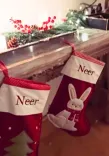 Did Parineeti Chopra & Raghav Chadha's son Neer receive a special gift for his first Christmas?
