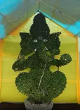 पूर्वी गोदावरी के युवा किसान ने पौधों से बनाई 9 फीट की 'जीवंत गणेश' प्रतिमा, पवन कल्याण को देना चाहते हैं उपहार