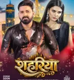 पवन सिंह का नया म्यूजिक धमाका, भोजपुरी एल्बम ‘शहरिया’ आने वाला है!