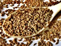 क्या पेट दर्द, गैस या अपच को एक चम्मच अजवाइन से समाप्त किया जा सकता है?