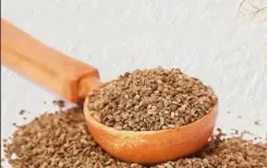क्या सर्दियों में पेट दर्द से खांसी तक, अजवाइन एक वरदान है?