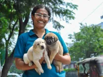 Will Pet Owners Get a Deadline Extension Amid Chennai’s Dog Microchipping Challenges?