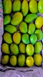 Piyush Goyal: Jharkhand tribal women's mangoes reach Dubai