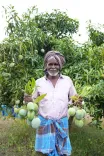 Piyush Goyal: Karnataka mangoes reach Maldives in first-ever air shipment