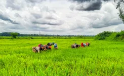 Is PKVY Revolutionizing Organic Farming in India?