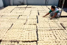 PLI scheme for food processing creates 3.35 lakh jobs, beats target: Parliament told