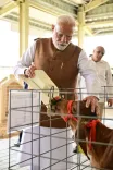 PM Modi highlights Banaskantha bovine research centre for dairy growth