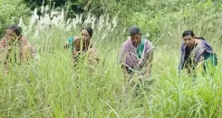 PM Modi praises Odisha's Maithili Bhue for Debrigarh forest conservation