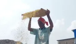 गोविंदभोग चावल को अंतरराष्ट्रीय मंच: PM मोदी ने FAO प्रमुख को भेंट किया बंगाल का GI-टैग्ड चावल