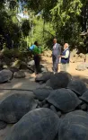 PM Modi Visits Giant Tortoise Enclosure in Seychelles