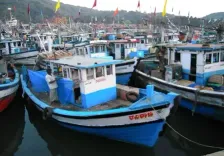 प्रधानमंत्री मत्स्य संपदा योजना के तहत 11 इंटीग्रेटेड एक्वा-पार्क्स बनाने के प्रस्तावों को मंजूरी : केंद्र