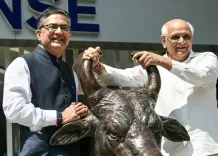 प्रधानमंत्री मोदी के नेतृत्व में भारत ने इकोलॉजी और इकोनॉमी के बीच संतुलन बनाए रखा है : सीएम भूपेंद्र पटेल