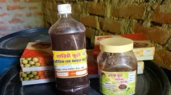 PM Modi's Mann Ki Baat spotlights Pratapgarh SHG's Amla work, women elated