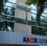 What Caused the 4-Hour Trading Disruption at MCX?