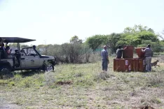 Did President Murmu and Botswana President Witness Cheetah Release at Nature Reserve?