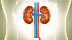 Prior Covid vaccination proved beneficial for acute kidney injury patients: Study